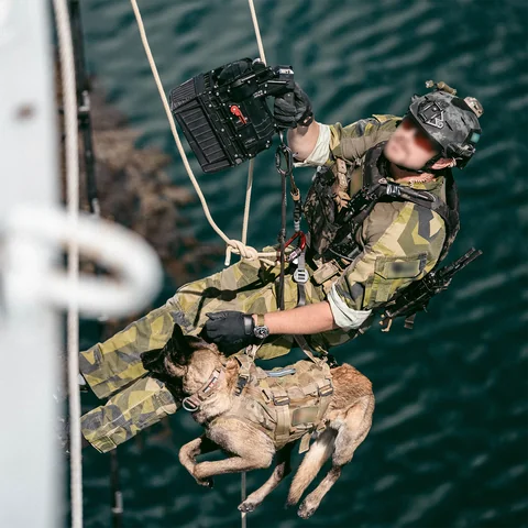 HCMH II HARNESS BORA BELT™ image 3